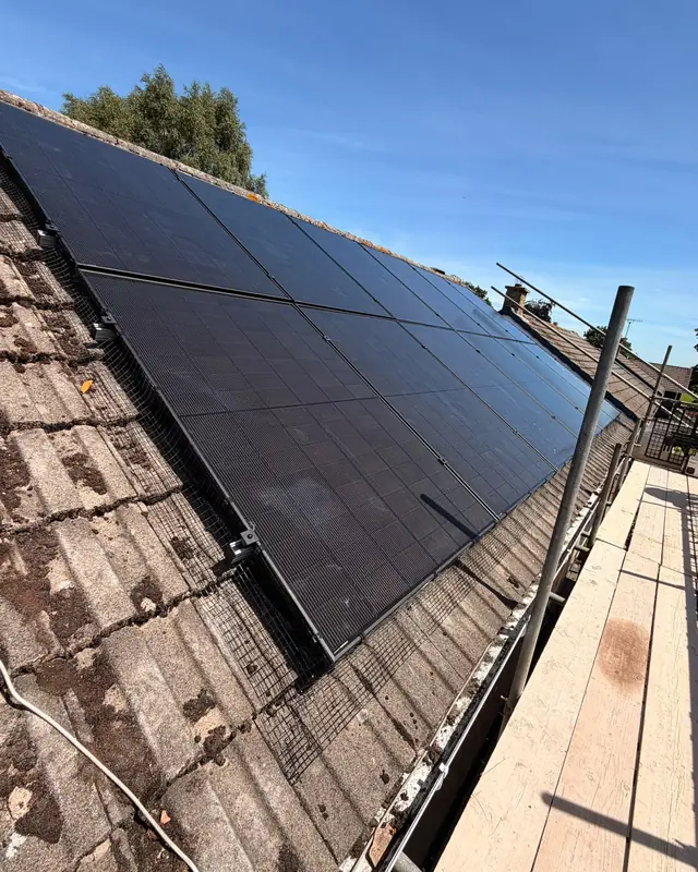 Black solar panels on a concrete-tiled roof with bird mesh around the edge, seen from the scaffolding